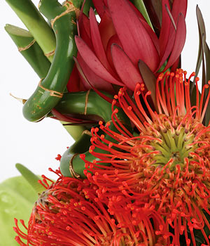 click here to view other pictures